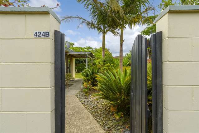 424b Maungatapu Road Maungatapu_4