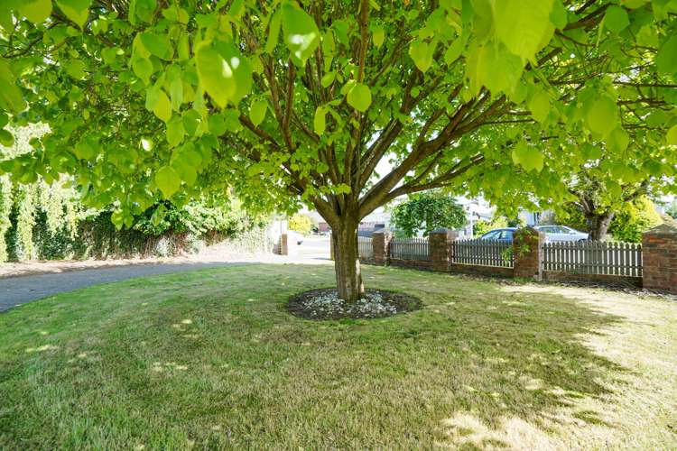 125 Terrace Street Rosedale_17