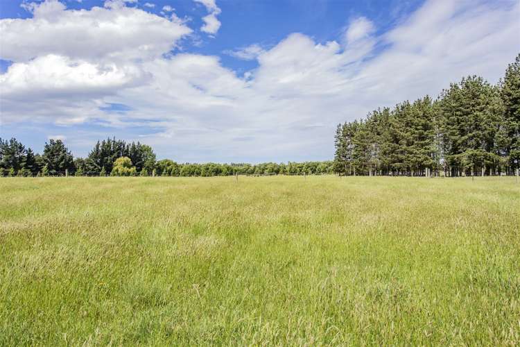 153 Birch Hill Road Okuku_18