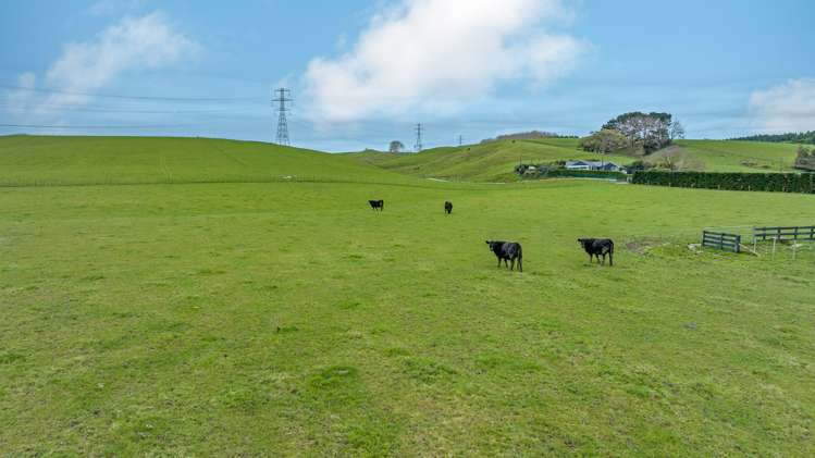489 Makino Road Feilding_6