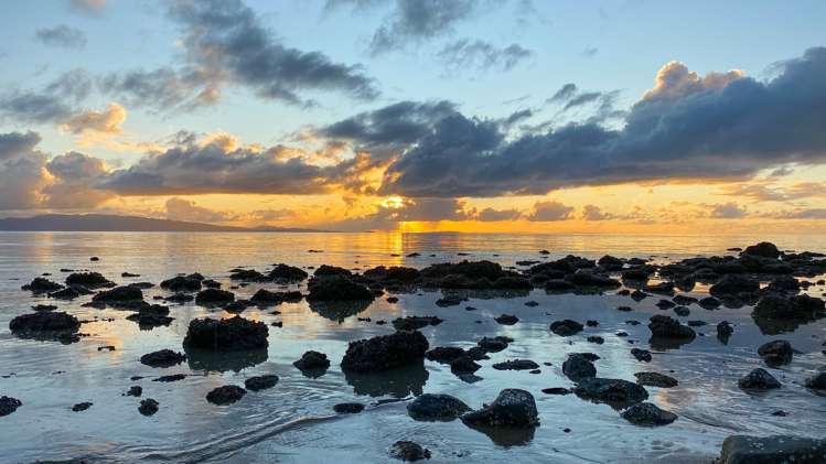 338 Thames Coast Sh25 Road Thornton Bay_22