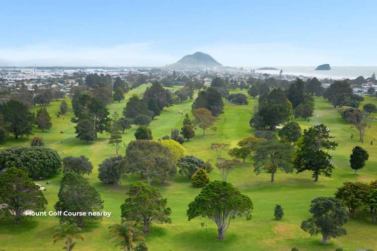 2 Clyde Street Mt Maunganui_11