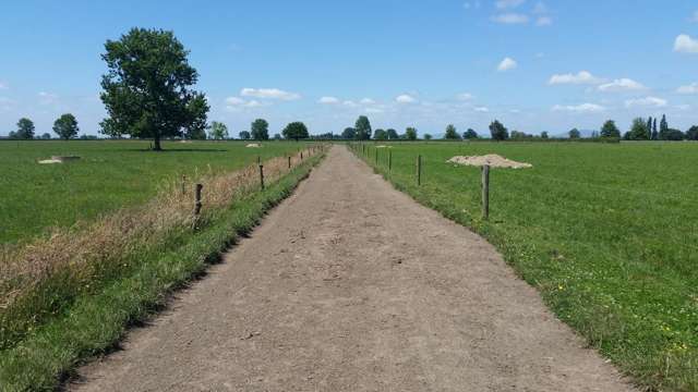 201 Steele Road Manawaru_1