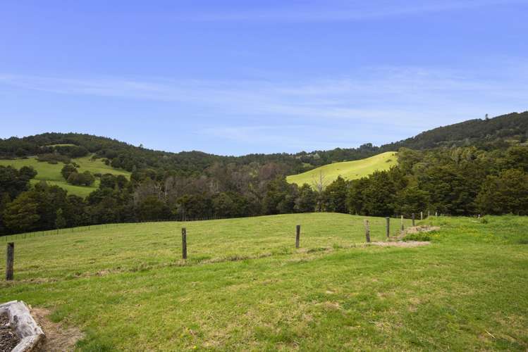 891 Springfield Road Mangapai and Surrounds_7