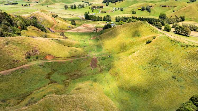 162 Standish Road Toko_8