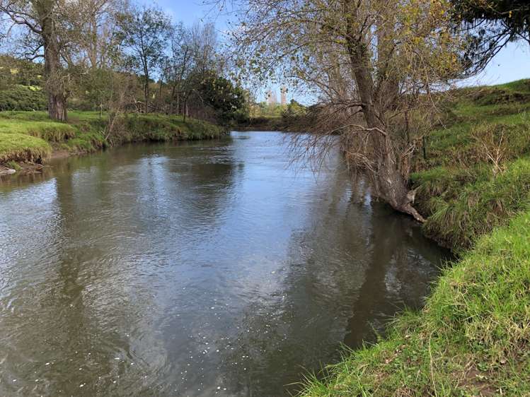 52B Hooks and Halls Road Waimamaku_9