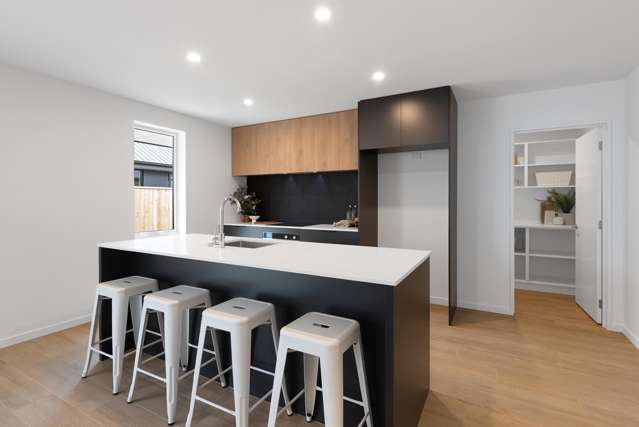 161 Ed Hillary Drive Rolleston_1