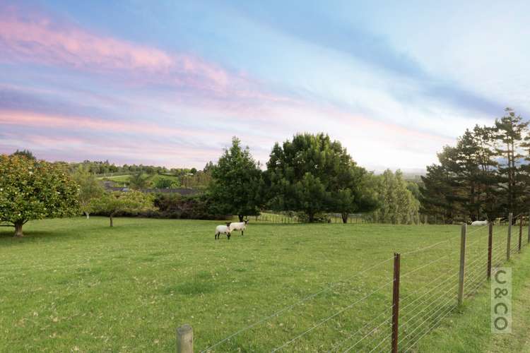 371 Old North Road Kumeu_18