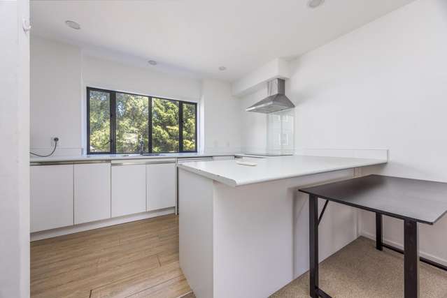 20 Sudbury Terrace Parnell_3