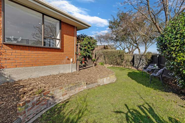 18 Lowry Avenue Redwood_17