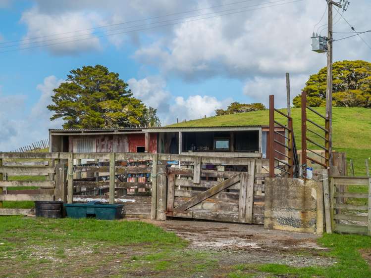 217 Underwood Road Wellsford_11