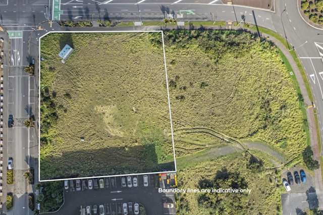 1 Kaipiho Lane Albany_3