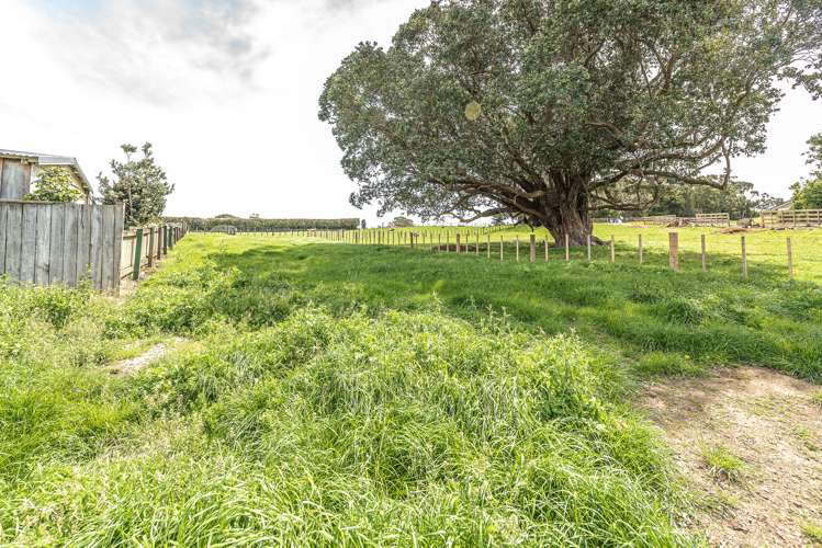 28 Weraroa Road Waverley_2