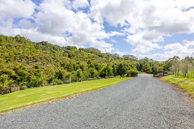 62 Pampas Lane Te Arai_22