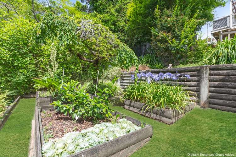 16 Burtts Road Durie Hill_27