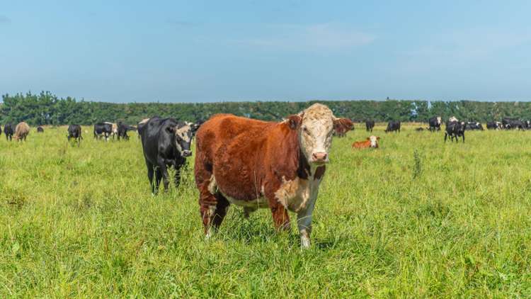 1051 Carleton Road Oxford_12