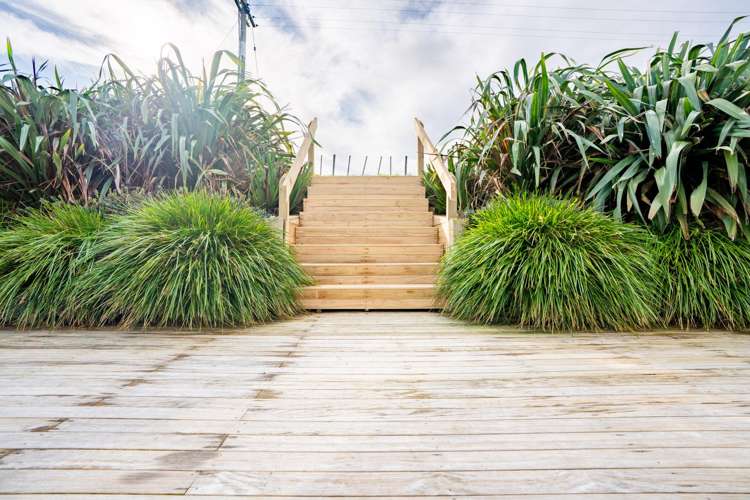 105 Mangaorongo Road Otorohanga_19
