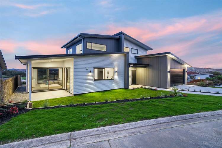 47 Carlton Road Pukekohe_0
