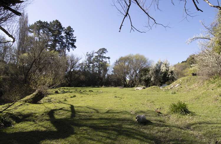 1395 Opaki Kaiparoro Road Mauriceville_14