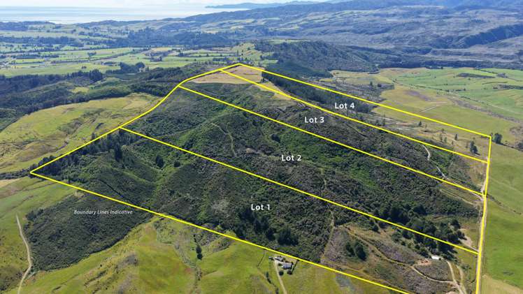 1419 Collingwood-Bainham Main Road Collingwood_0