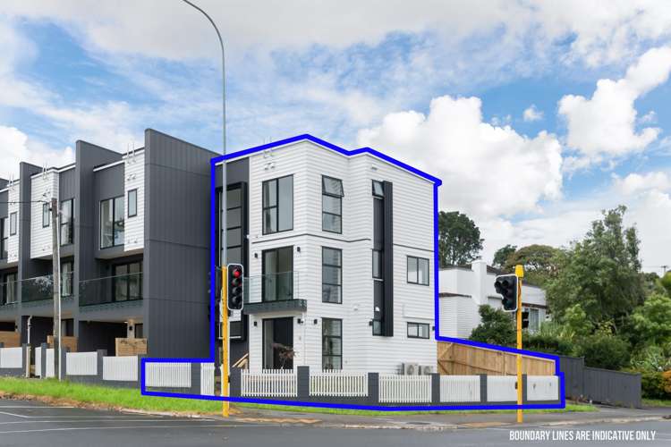 1A Scout Avenue Mt Roskill_20
