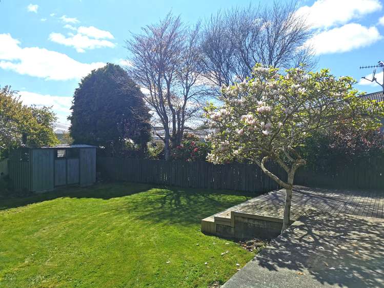 30 Helmsdale Street Waverley_12