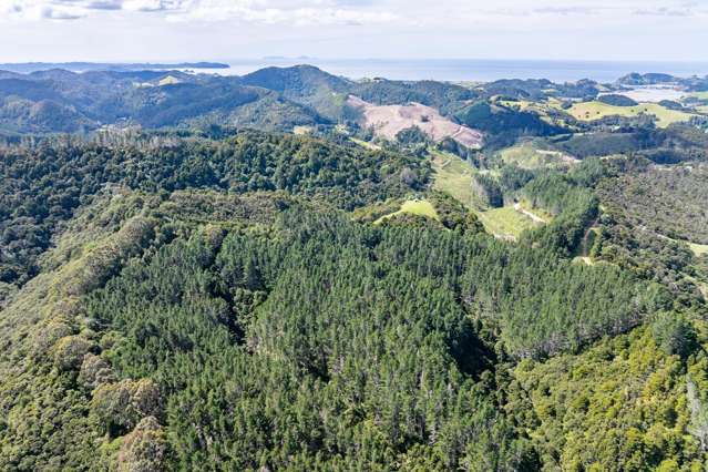 Guardianship now ready to change hands