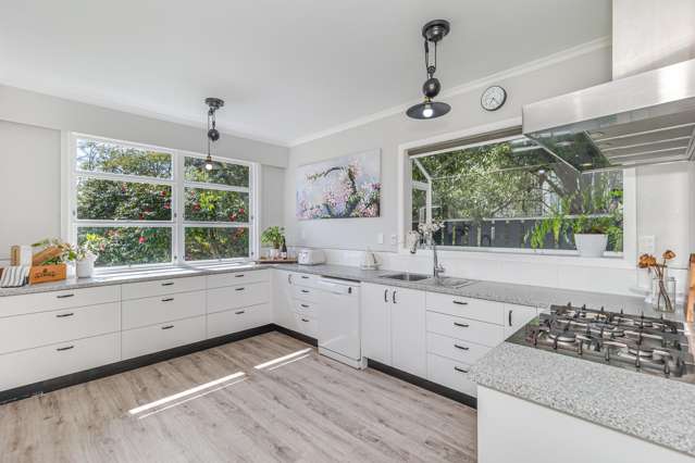 35 Chester Street Levin_4