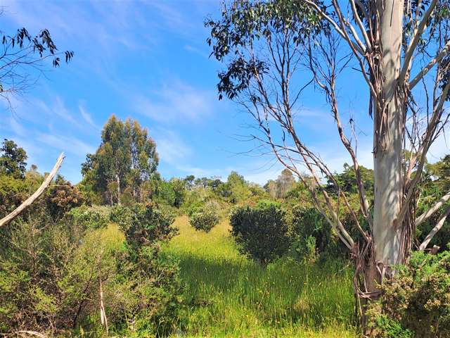 Virgin Flat Road Cape Foulwind_1