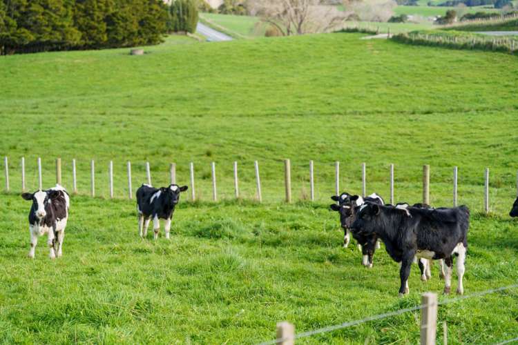 Lot Lots 2 - 4 Pool Road Wellsford_8