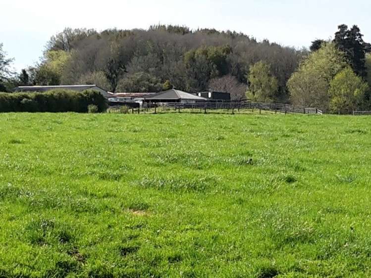 346 Rugby Road Tariki_87