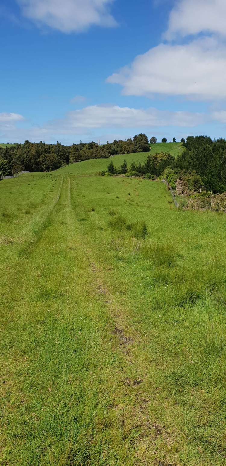 448 Moir Hill Road Warkworth_27