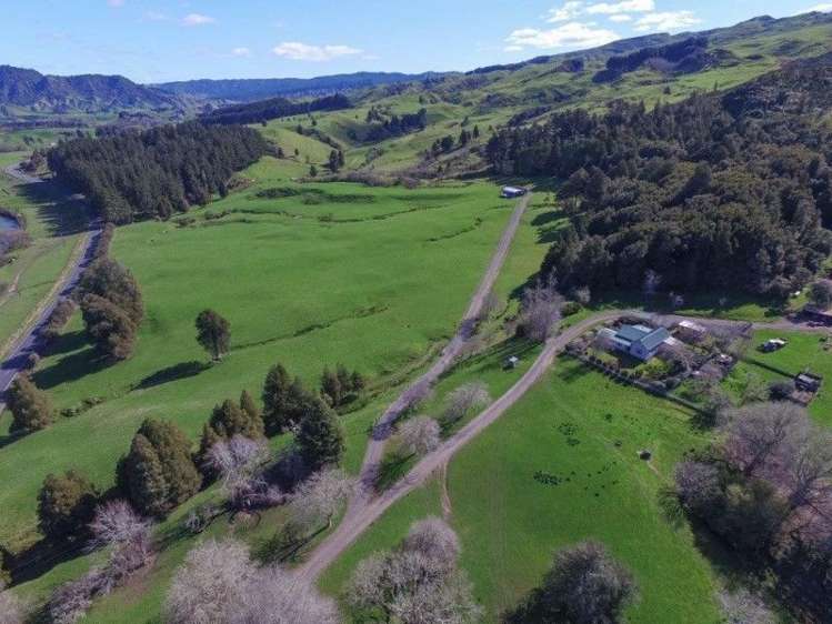 2286 State Highway 3 Mahoenui_13