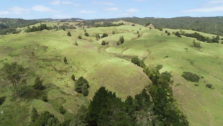 1327 Pupuke Mangapa Road Kaeo_0