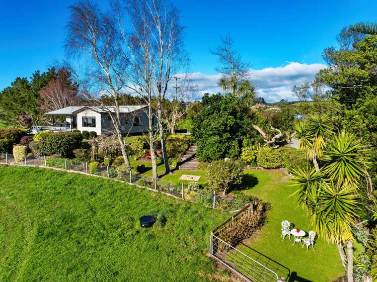 533 Wainui South Road Whakamarama_24