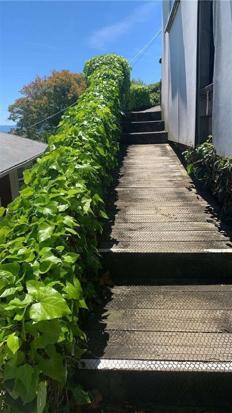 118 Queens Road Stepneyville_13