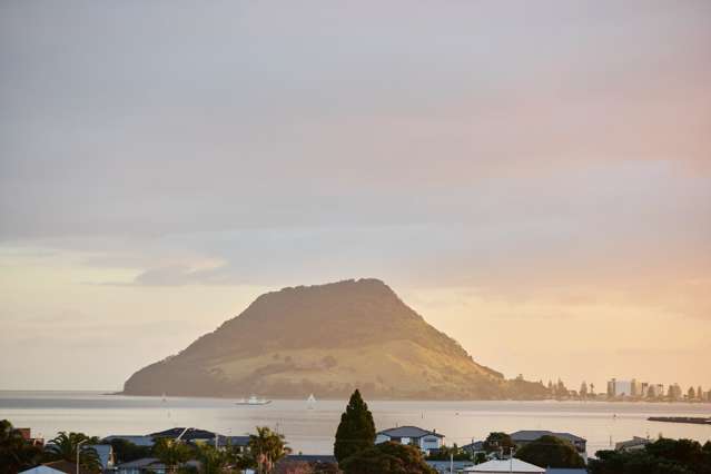 94b Maxwells Road Otumoetai_1