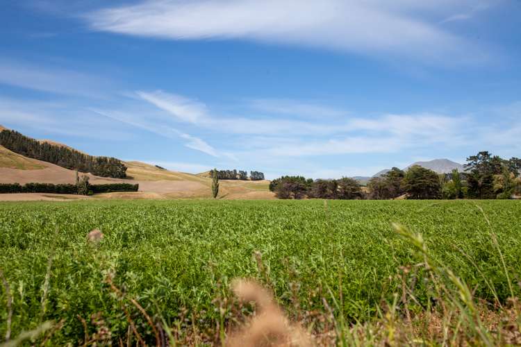 6 Clermont Street Ward_2