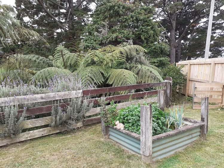 21 Wrantage Street Westown_5