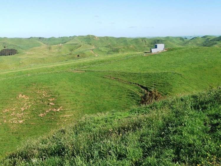 446 Stanley Road Te Popo_22