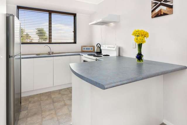 29 Doncaster Terrace Ascot Park_1