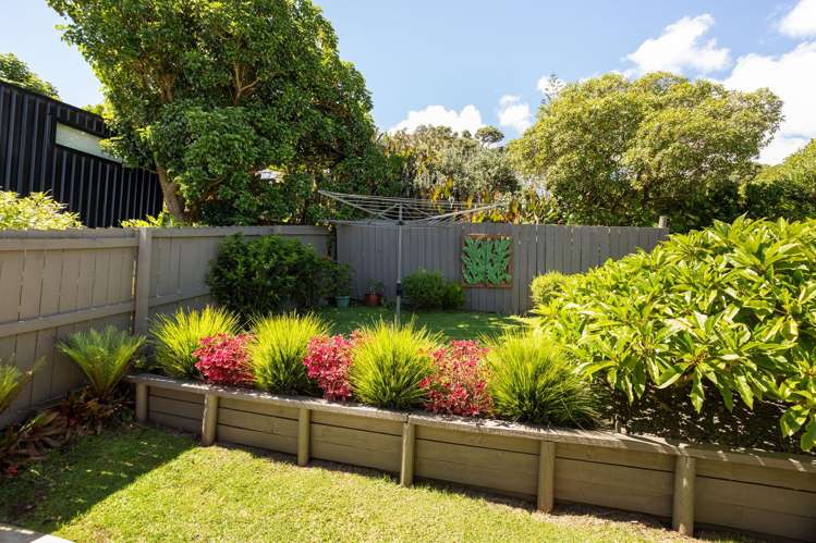 10 Otama Beach Road Opito Bay_16