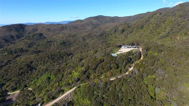 175 Parapara Valley Road Parapara_16