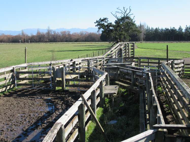 3245 State Highway 2 Takapau_5