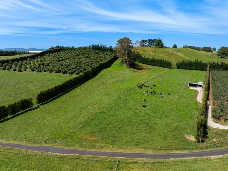 449 Crawford Road Te Puna_3