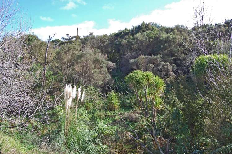 126 Oneriri Road Kaiwaka_8