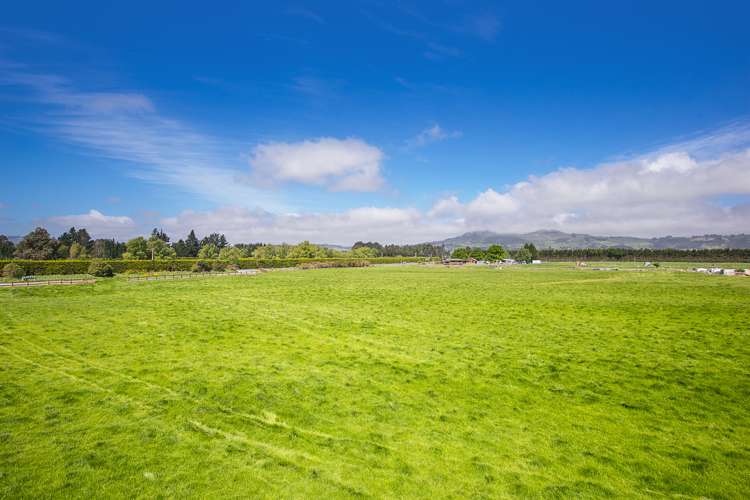 323 Riccarton Road West Mosgiel_7