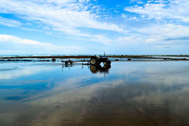 202 Pourerere Beach Road Central Hawkes Bay Coastal_4