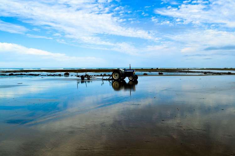 202 Pourerere Beach Road Central Hawkes Bay Coastal_4
