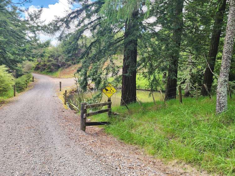 241 Work Road Aongatete_6